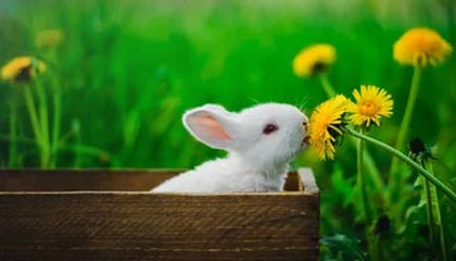 fb体育网页版-【比赛总结】胜负背后隐藏的战术智慧，比赛有胜负的下一句