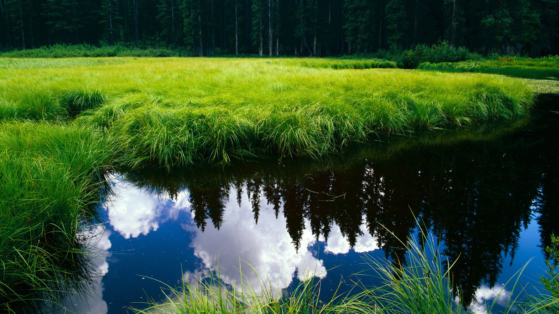 FB SPORTS-欧冠明星的“破纪录”瞬间，精彩不停，欧冠个人夺冠排行