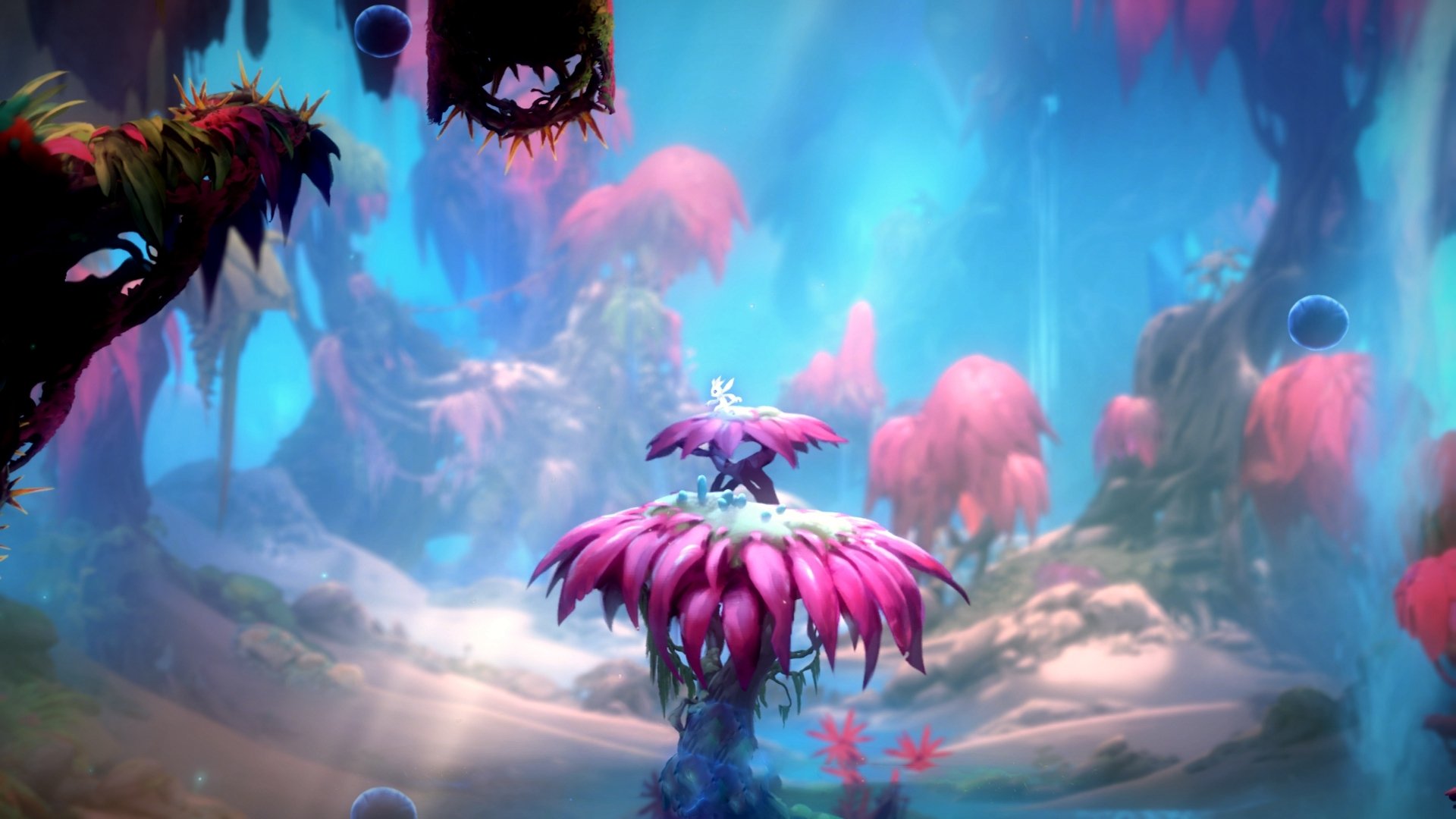 fb体育投注-联盟策略：解读球队管理的成功秘钥，球队如何管理