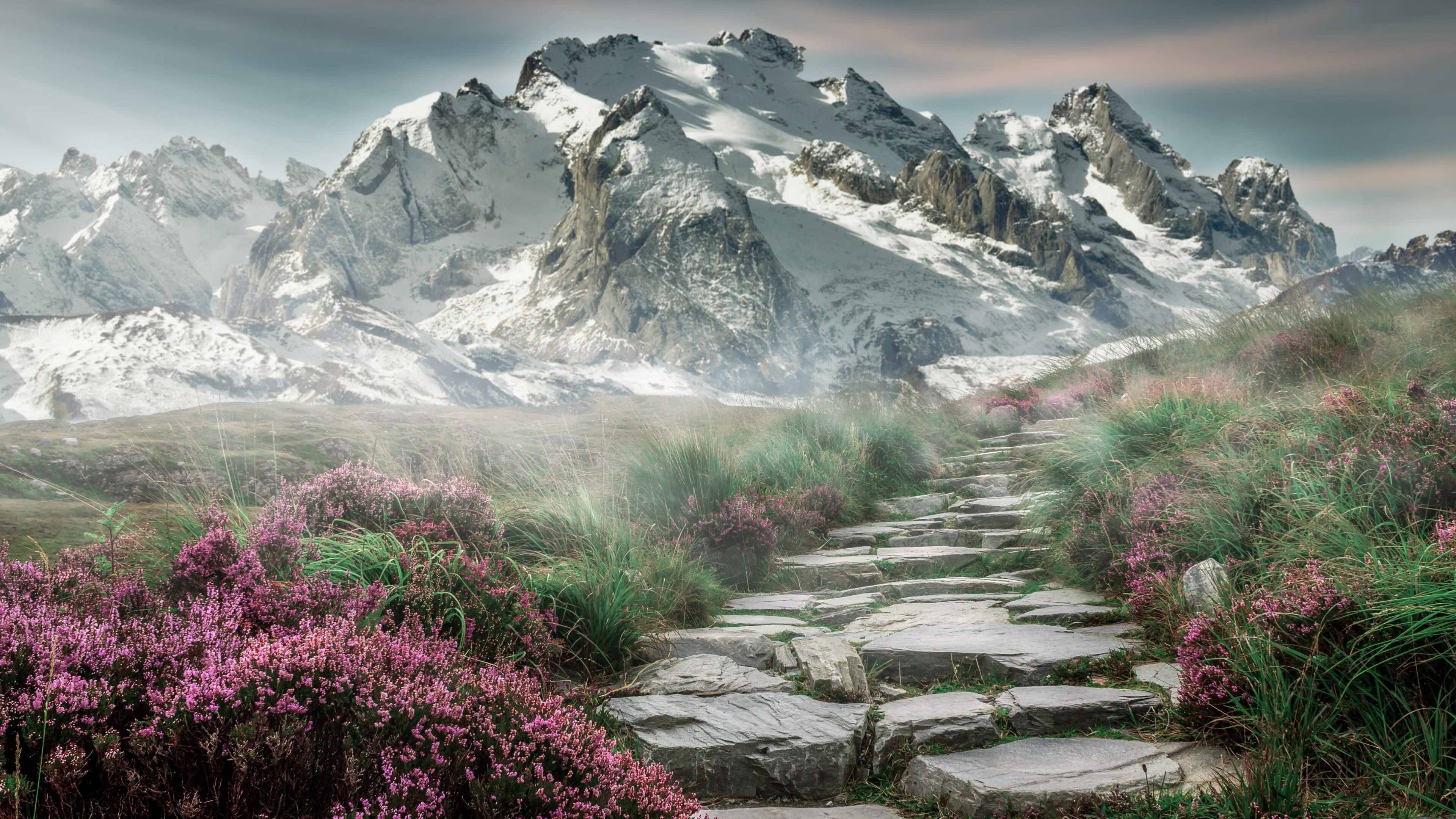 法兰克福将挑战弗赖堡,争夺三分,法国法兰克福