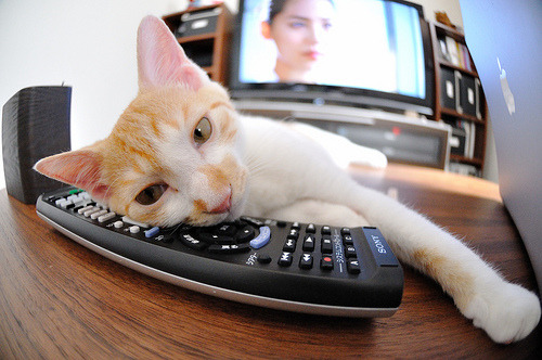 fb体育注册网址-高尔夫尊中国室内公开赛总决赛在天津举行，高尔夫尊中国网络大赛