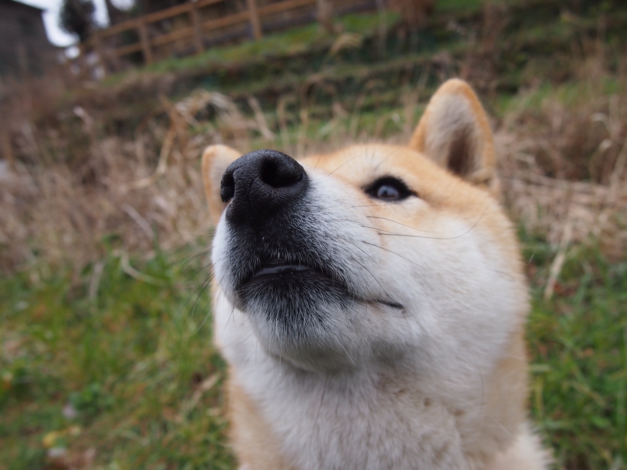 fb体育官网入口-俱乐部打造球迷文化墙展示多年辉煌历史增强归属感，球迷俱乐部的英文短语