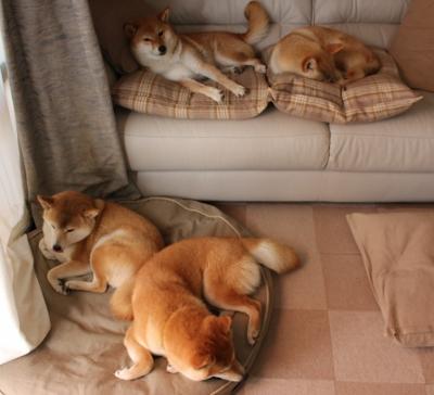 fb体育电竞-意甲战略大秀：布局、配合、攻防一体！，意甲阵营