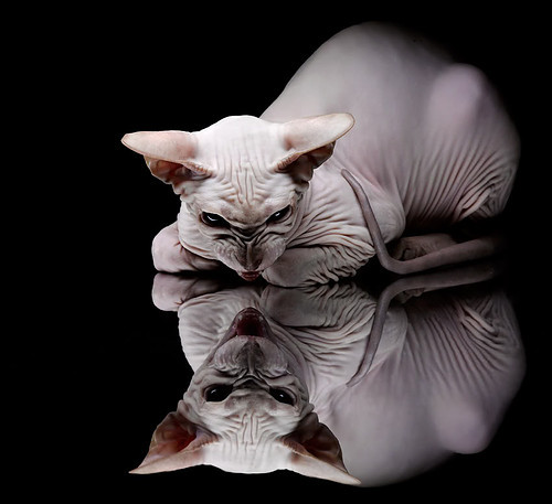 FB体育下载-欧洲杯最具观赏性的比赛回顾，欧洲杯最有看点的比赛